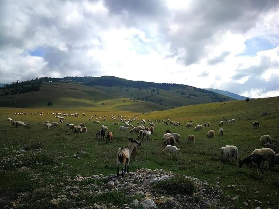 Natura As Gornji Lukomir Exterior foto